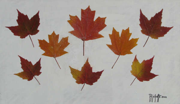 Autumn Leaves © Danny Ricketts