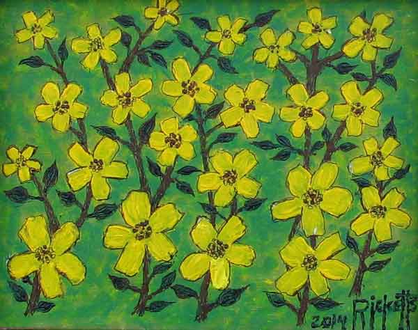 24 Yellow Blooms © Danny Ricketts