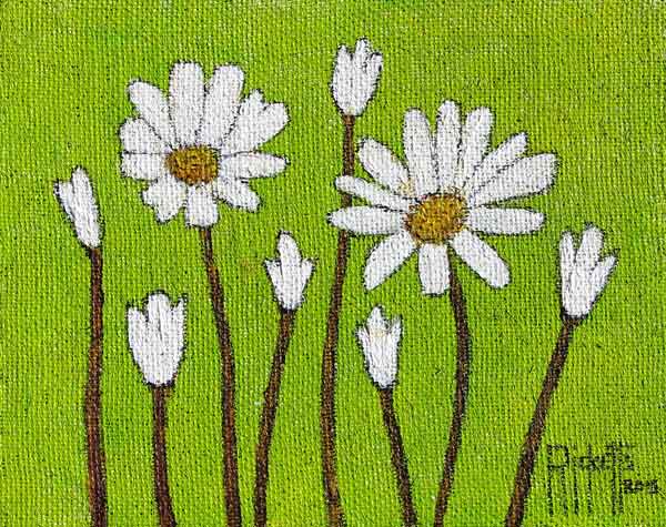 White Flowers on Green © Danny Ricketts