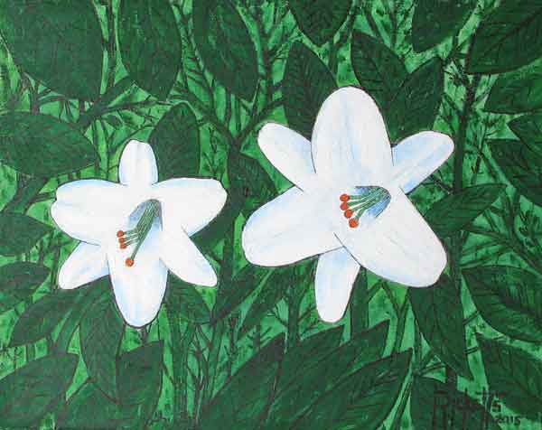 Easter Lilies © Danny Ricketts
