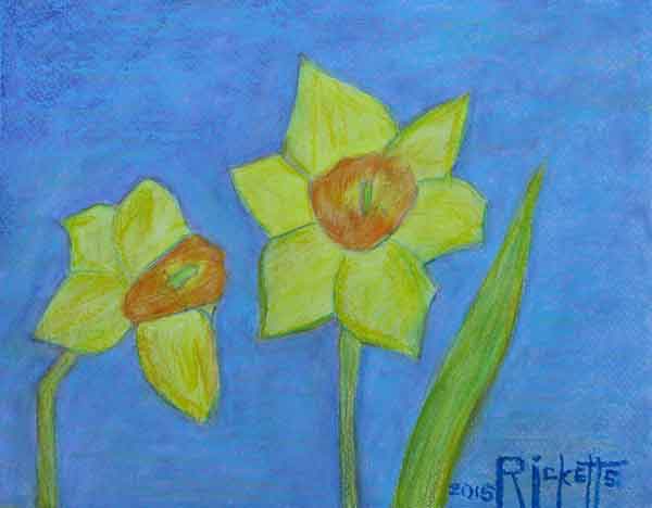 Two Daffodils © Danny Ricketts