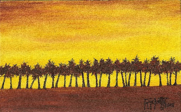 Palm Tree Sunset © Danny Ricketts