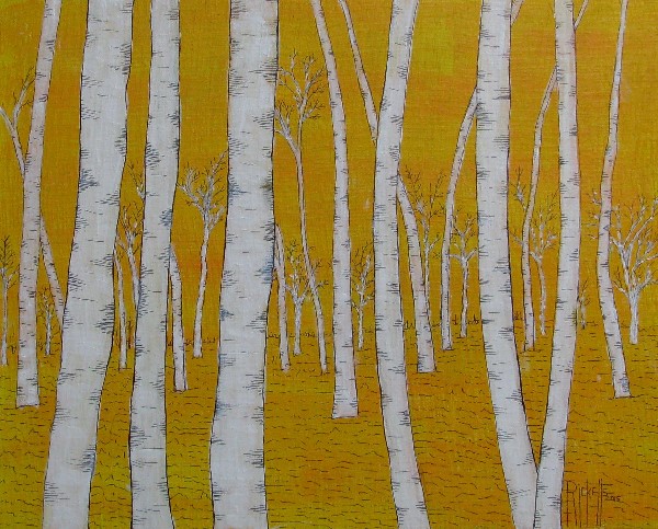 Birch Forest © Danny Ricketts