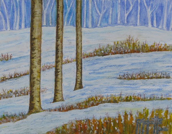 Three Birches in the Snow © Danny Ricketts