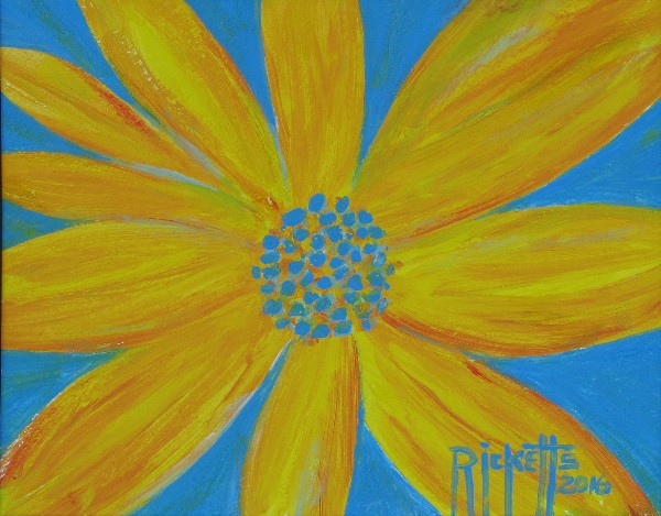 Yellow Flower on Blue © Danny Ricketts