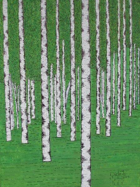 Birch Forest © Danny Ricketts
